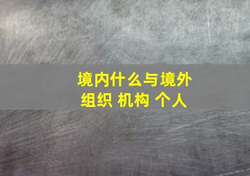 境内什么与境外组织 机构 个人